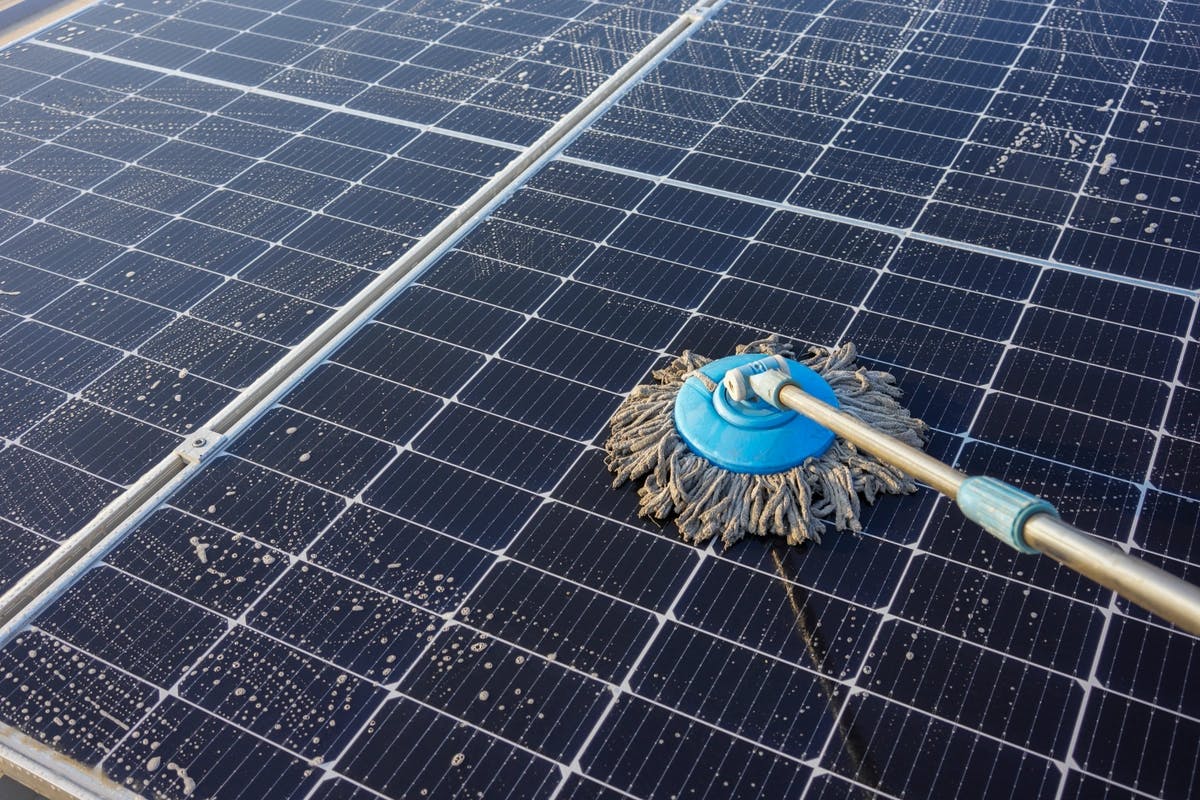 mopping pigeon mess off solar panels