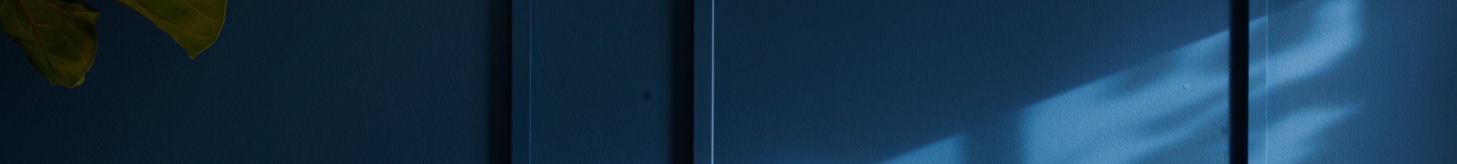 Guides header image