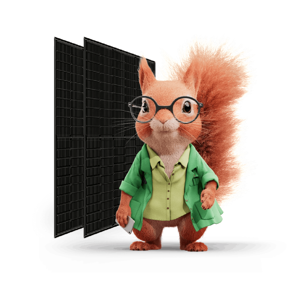 Buy one panel get one free