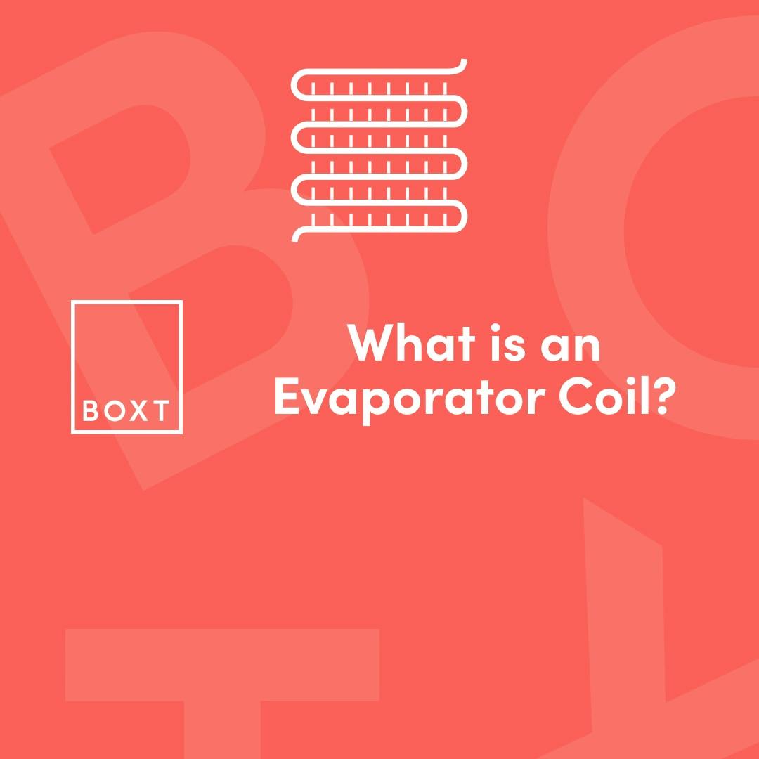 Check out our complete guide